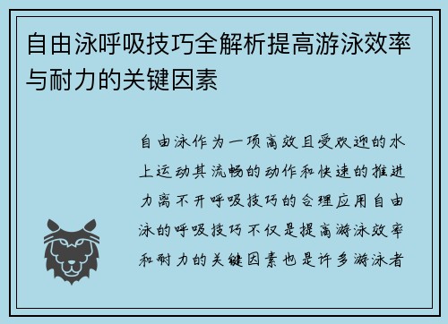 自由泳呼吸技巧全解析提高游泳效率与耐力的关键因素